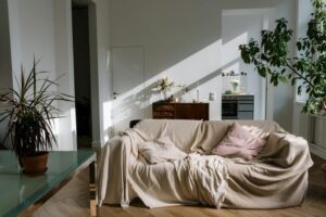 Tips for Creating a Cozy and Inviting Home Environment on a Budget